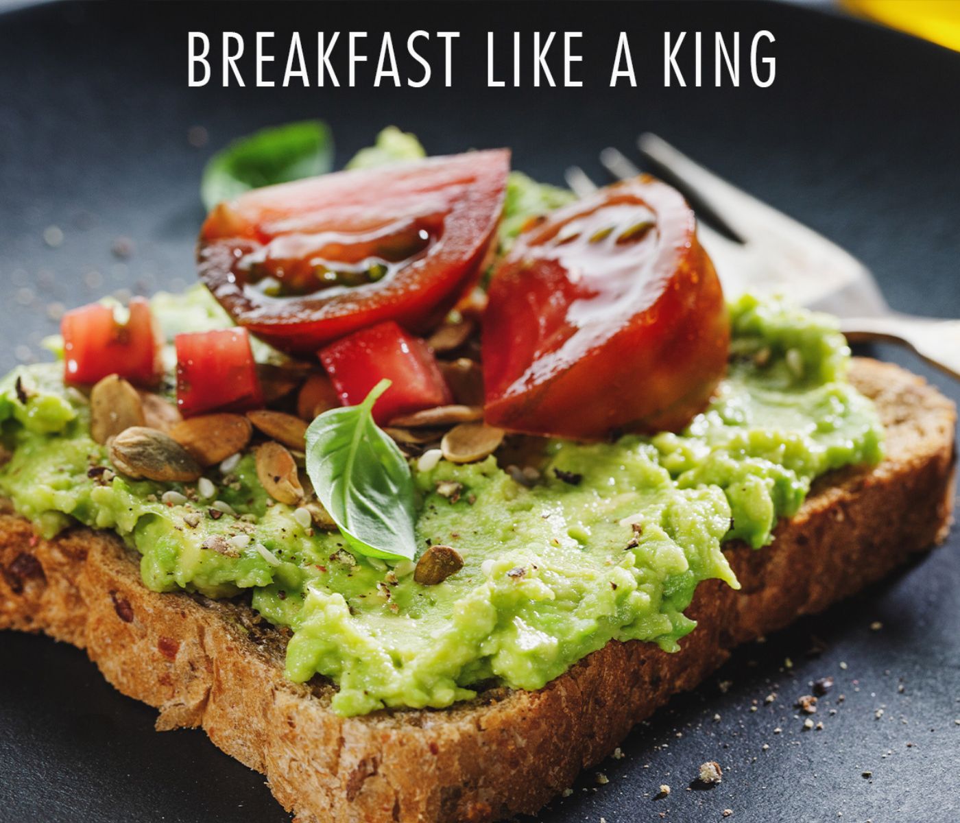 Φρυγανιέρα Trisa “Royal Toast”